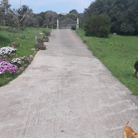 Дом отдыха La_casa_di_ Willy